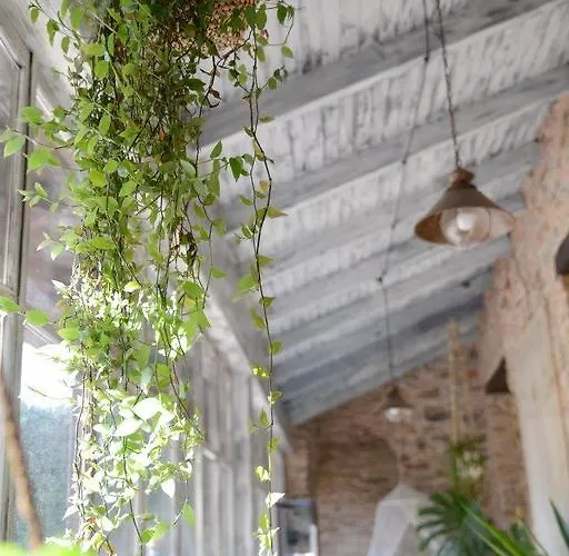 Pico Del Lugar 펜션 *